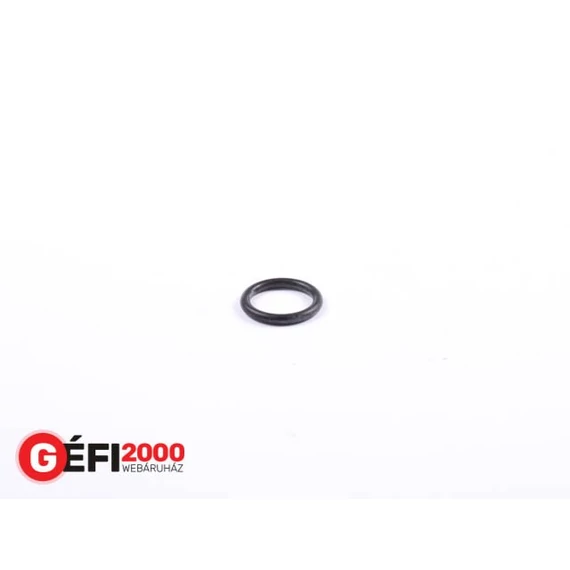HAAS O gyűrű 21,89x 2,62 mm   R3087