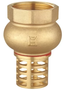 Lábszelep 1